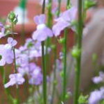 Hiroさんのプロフィール画像