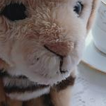 ほわりんさんのプロフィール画像