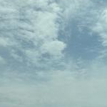 ちゃんぴーさんのプロフィール画像