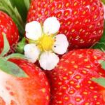 いちご大福さんのプロフィール画像