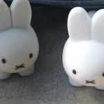 くーさんのプロフィール画像