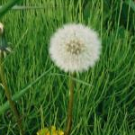 いくみんさんのプロフィール画像