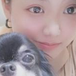 野良猫さんのプロフィール画像