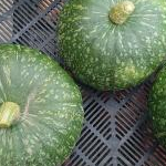 nachi_coconeさんのプロフィール画像