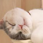 buranさんのプロフィール画像