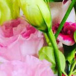 まさもえさんのプロフィール画像