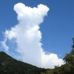 にゃにゃにゃさんのプロフィール画像