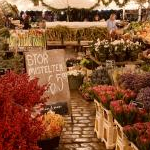 なっちゃさんのプロフィール画像