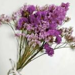 コスメ好きアラサー主婦