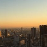 momijiさんのプロフィール画像