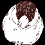 masacoさんのプロフィール画像