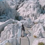 もぐもぐえさんのプロフィール画像