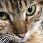 よしのさんのプロフィール画像