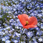 もっちさんのプロフィール画像