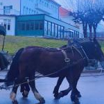 me_meさんのプロフィール画像