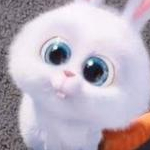 きゃろさんのプロフィール画像