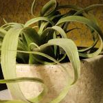 ゆーさんのプロフィール画像