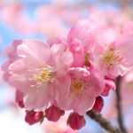 kazuki☆さんのプロフィール画像