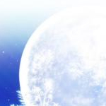 ギンネコさんのプロフィール画像