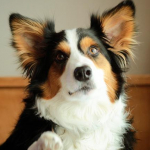 popoさんのプロフィール画像