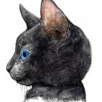 ジルさんのプロフィール画像