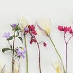 yuriiさんのプロフィール画像