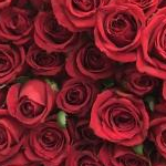 ゆむ@美容大好き主婦