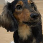 キックさんのプロフィール画像