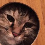 みほ2さんのプロフィール画像