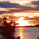 たまごさんのプロフィール画像