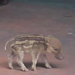 tonさんのプロフィール画像