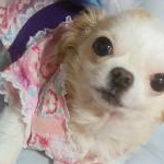 おとめまい様さんのプロフィール画像