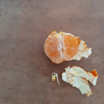 這う通る伊豆さんのプロフィール画像