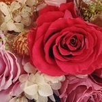 ekoさんのプロフィール画像