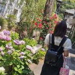 speedzenzaiさんのプロフィール画像