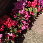 kieさんのプロフィール画像