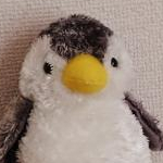 ルルハハさんのプロフィール画像