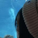 ふらんnさんのプロフィール画像