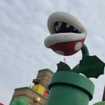 mamekoさんのプロフィール画像