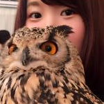 おゆみさんのプロフィール画像