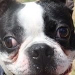 まめこさんのプロフィール画像