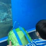 まろたろさんのプロフィール画像