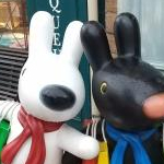 あんずさんのプロフィール画像