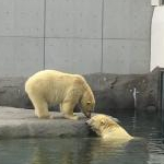 ぽぽみさんのプロフィール画像