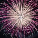 ntmyo3さんのプロフィール画像