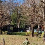 りんままさんのプロフィール画像