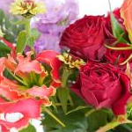 ぴーちさんのプロフィール画像