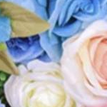 YUIさんのプロフィール画像