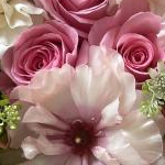 momo@美容マニアさんのプロフィール画像