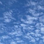 さゆりんさんのプロフィール画像